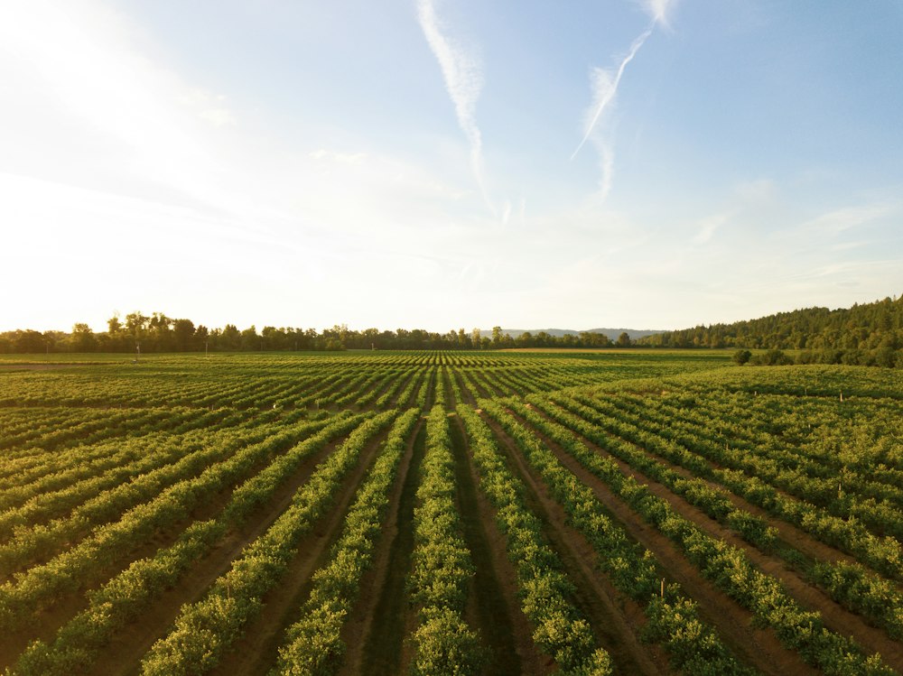 Autonomous farm equipment field test