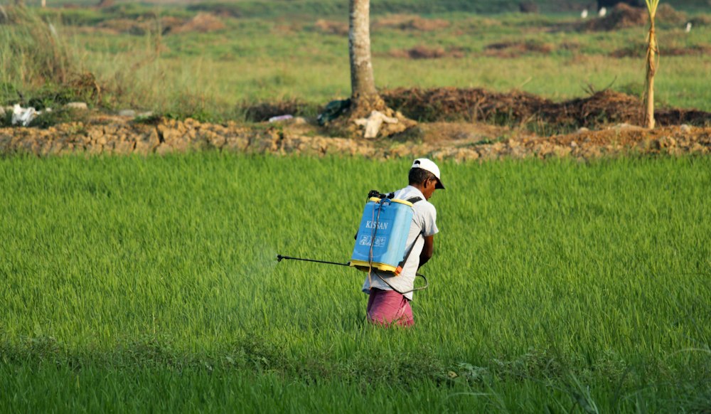 Agronomist using tablet in lush field