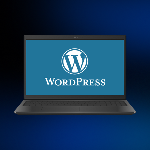 WordPress e-commerce website usability to experience.