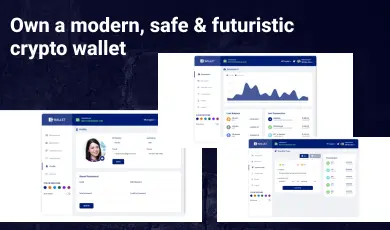 Interface page for crypto wallet template