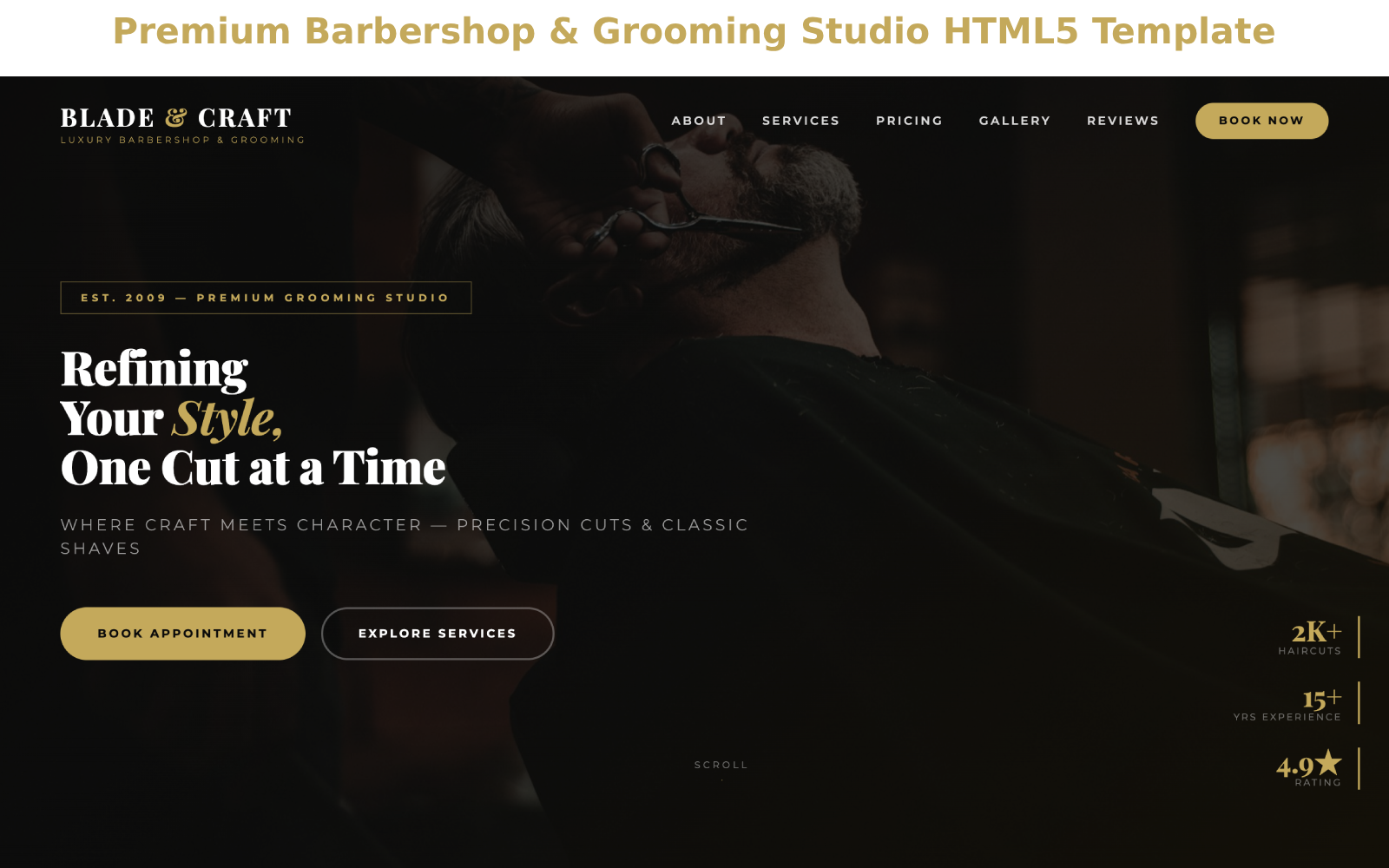 premium-barbershop-grooming-studio-html5-template