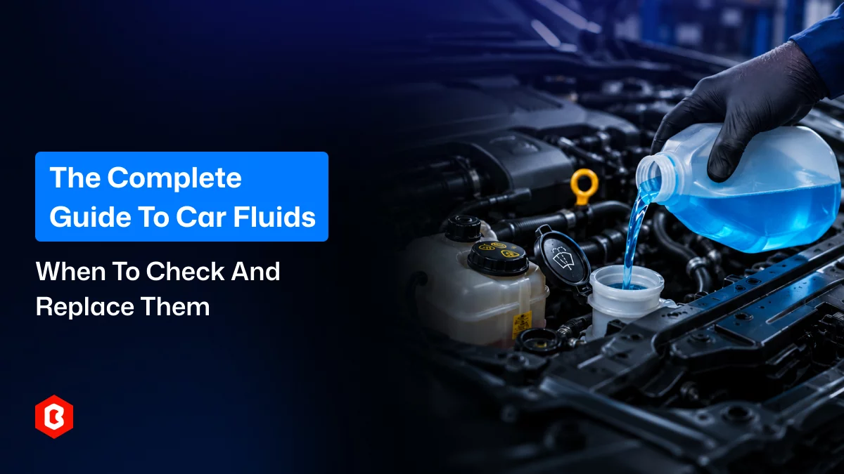 The Complete Guide to Car Fluids: When to Check and Replace Them