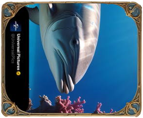 Card-1