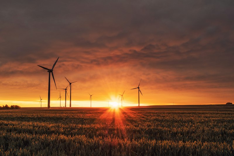 Wind turbines arranged harmoniously alongside agricultural farmland