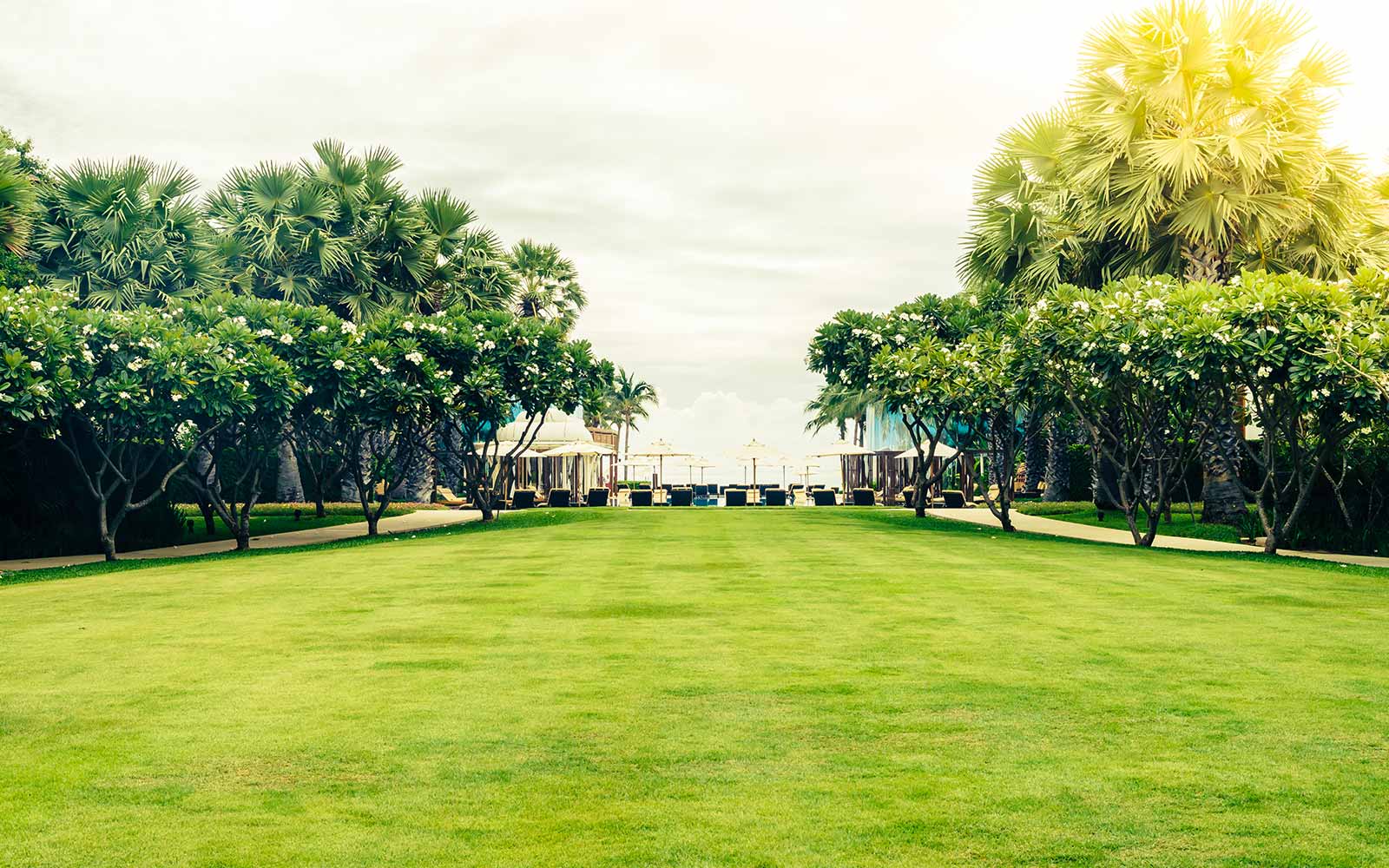 Designed by Nature, Built by Experts
