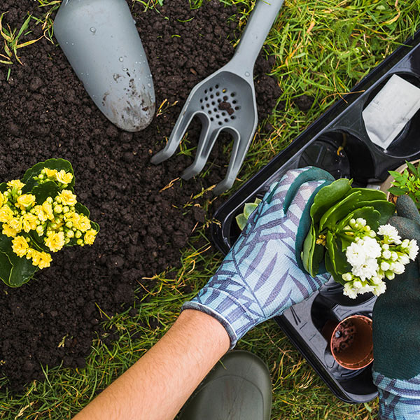 Landscape Design and Planning blueprint and garden layout