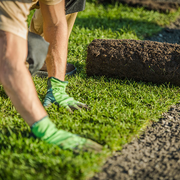 Drainage Systems and Lawn Care Maintenance