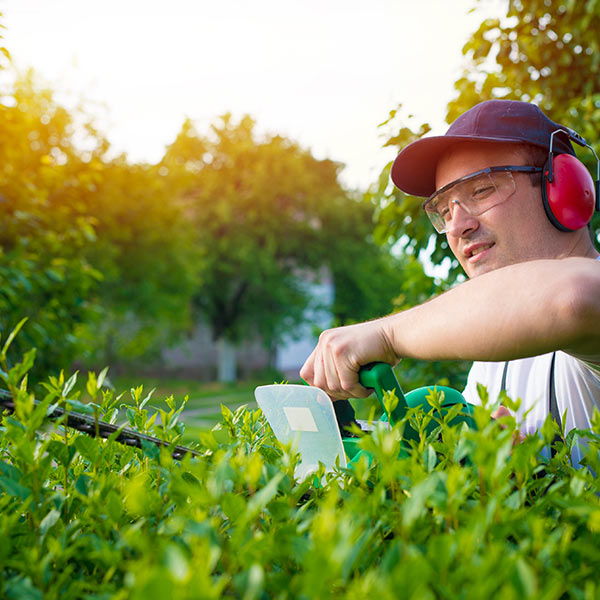 Professional Turfing and Garden Installation
