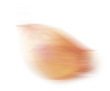 Layer 9